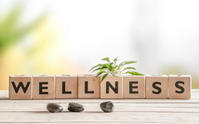 How to recession-proof your wellness business and sell more online